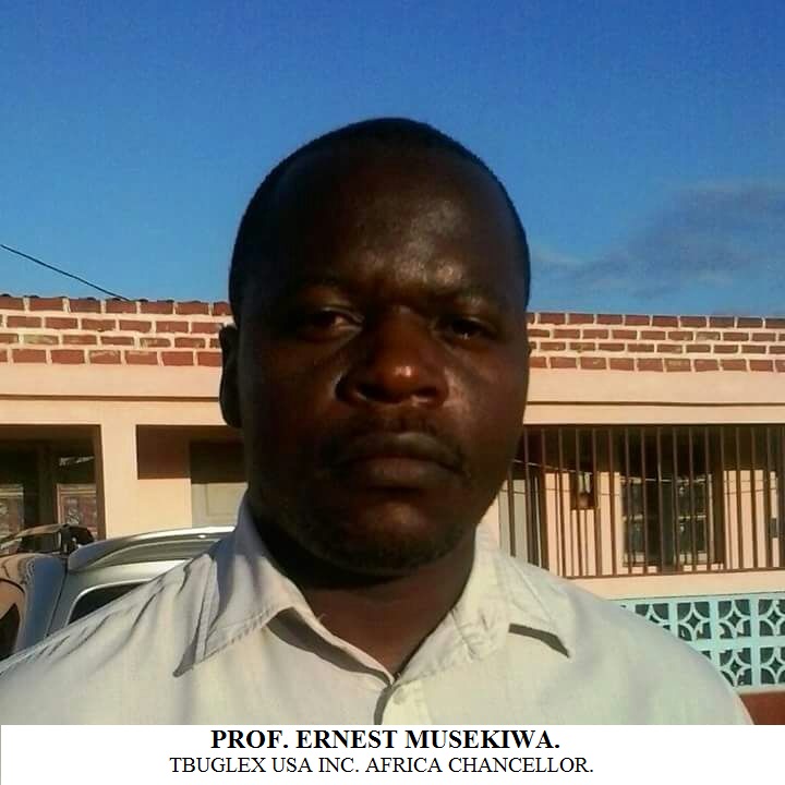 PROF. ERNEST MUSEKIWA